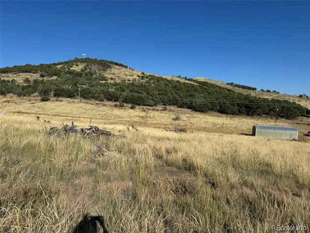Lot 48,49 Copper Gultch Cotopaxi, CO 81223
