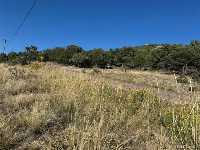 Lot 48,49 Copper Gultch Cotopaxi, CO 81223