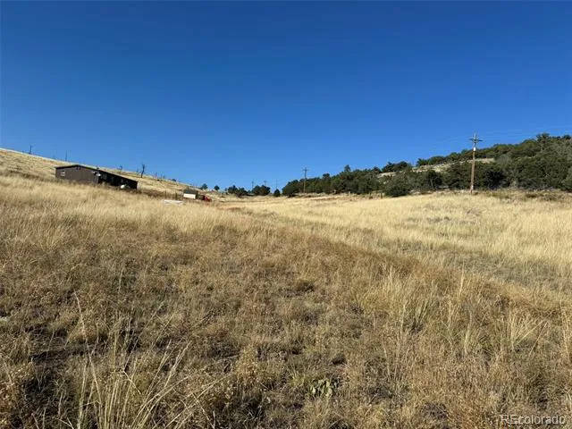 Lot 48,49 Copper Gultch Cotopaxi, CO 81223