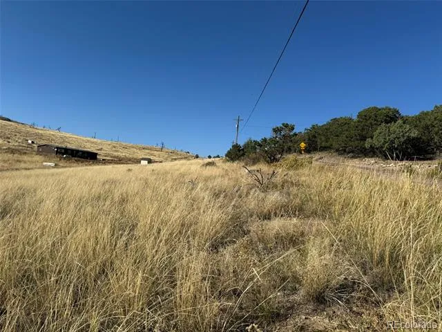 Lot 48,49 Copper Gultch Cotopaxi, CO 81223