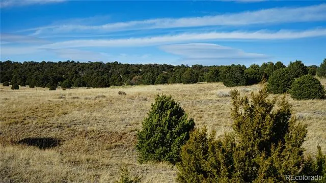 37 Navajo Ranch Resorts #4 Walsenburg, CO 81089