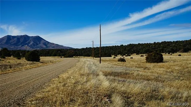 37 Navajo Ranch Resorts #4 Walsenburg, CO 81089
