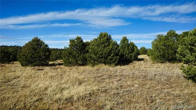 37 Navajo Ranch Resorts #4 Walsenburg, CO 81089