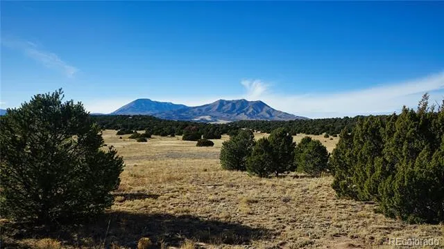 37 Navajo Ranch Resorts #4 Walsenburg, CO 81089