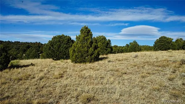 37 Navajo Ranch Resorts #4 Walsenburg, CO 81089