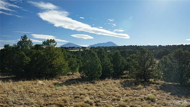 37 Navajo Ranch Resorts #4 Walsenburg, CO 81089