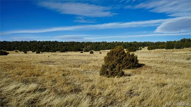 37 Navajo Ranch Resorts #4 Walsenburg, CO 81089