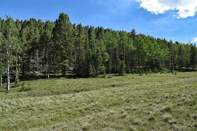 000 Bear Cat Road Guffey, CO 80820