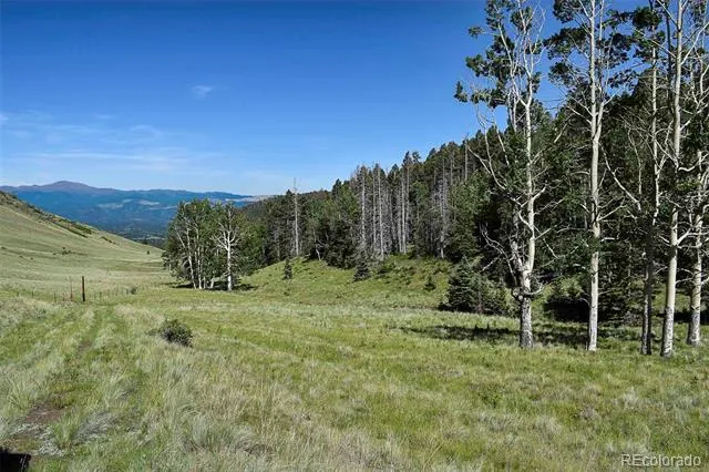 000 Bear Cat Road Guffey, CO 80820