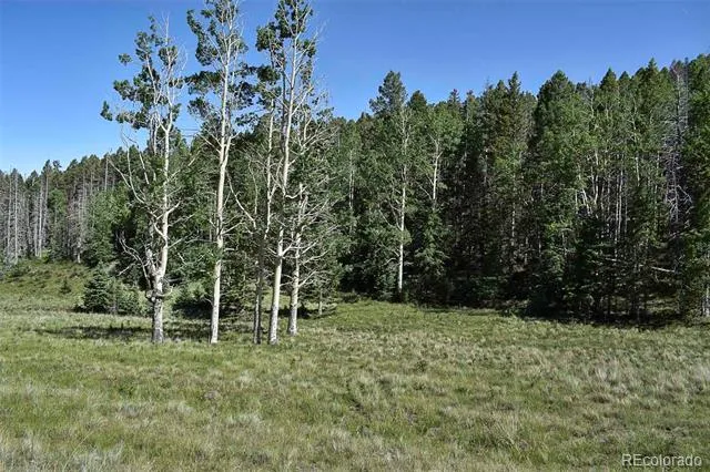 000 Bear Cat Road Guffey, CO 80820