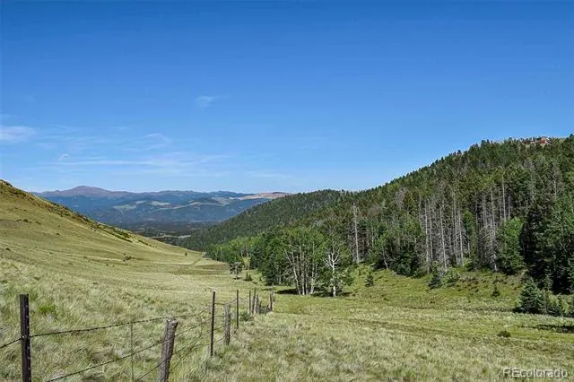 000 Bear Cat Road Guffey, CO 80820
