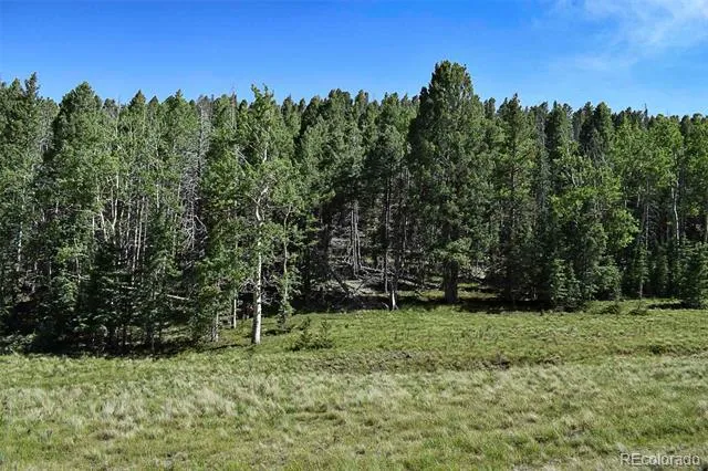 000 Bear Cat Road Guffey, CO 80820
