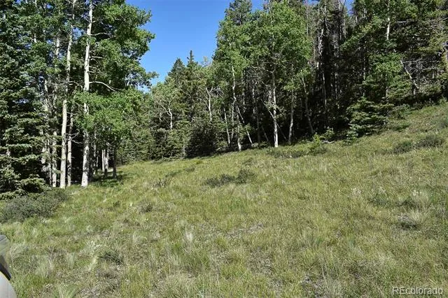 000 Bear Cat Road Guffey, CO 80820