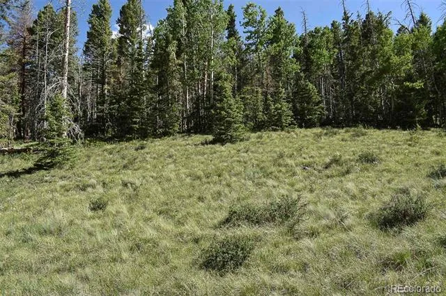 000 Bear Cat Road Guffey, CO 80820
