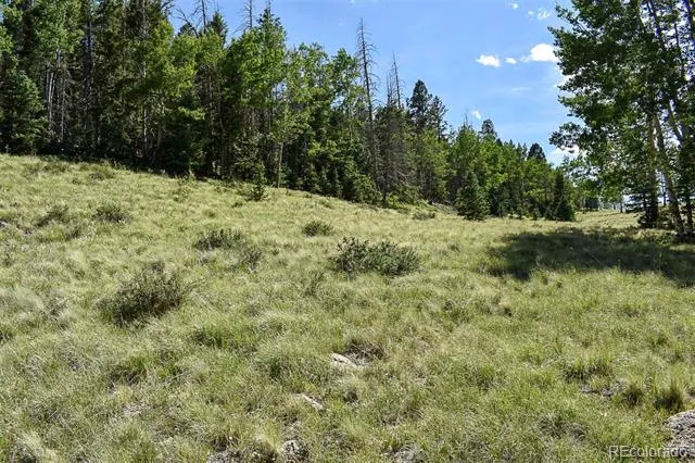 000 Bear Cat Road Guffey, CO 80820
