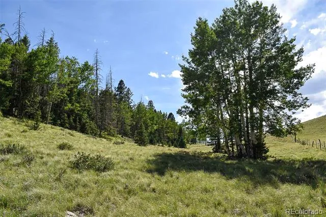 000 Bear Cat Road Guffey, CO 80820