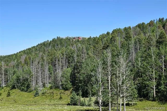 000 Bear Cat Road Guffey, CO 80820