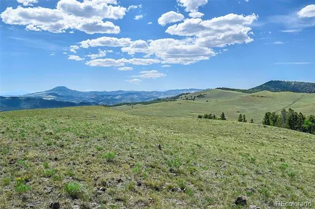 000 Bear Cat Road Guffey, CO 80820