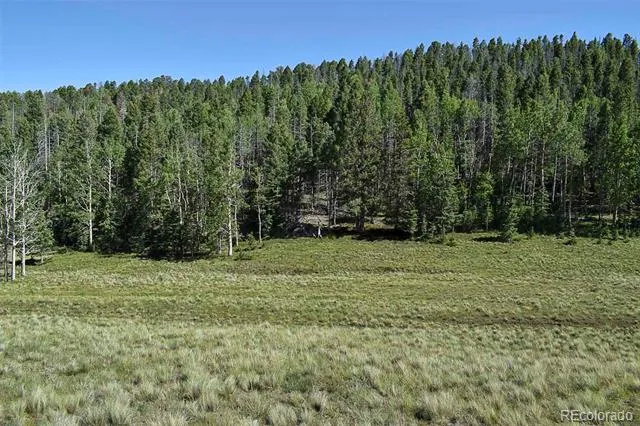 000 Bear Cat Road Guffey, CO 80820