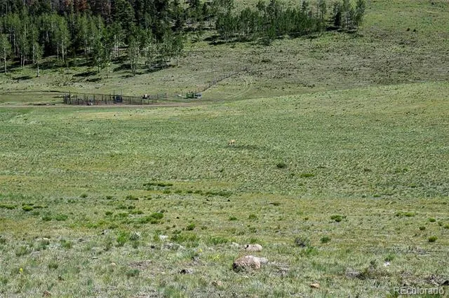 000 Bear Cat Road Guffey, CO 80820