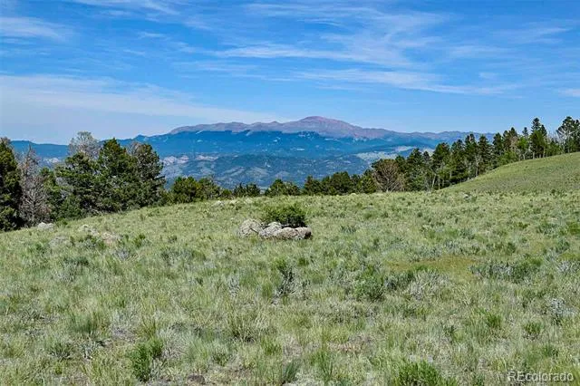 000 Bear Cat Road Guffey, CO 80820