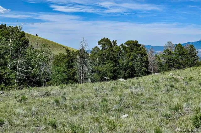 000 Bear Cat Road Guffey, CO 80820