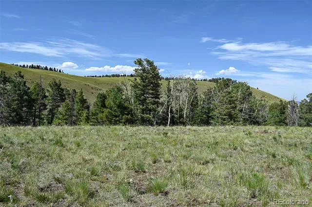 000 Bear Cat Road Guffey, CO 80820