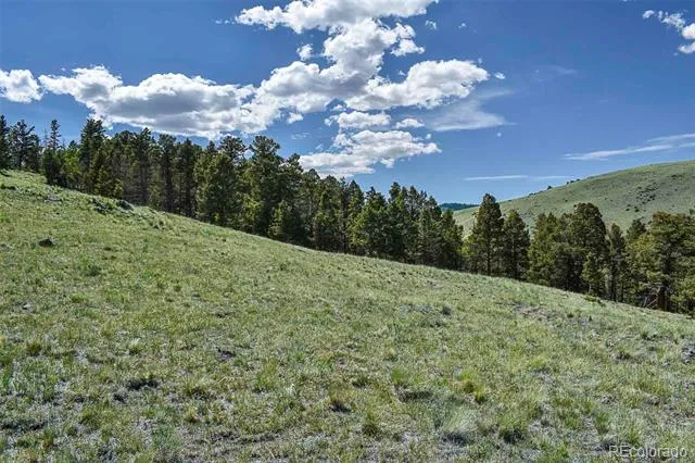 000 Bear Cat Road Guffey, CO 80820