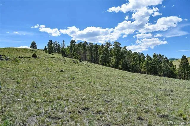 000 Bear Cat Road Guffey, CO 80820