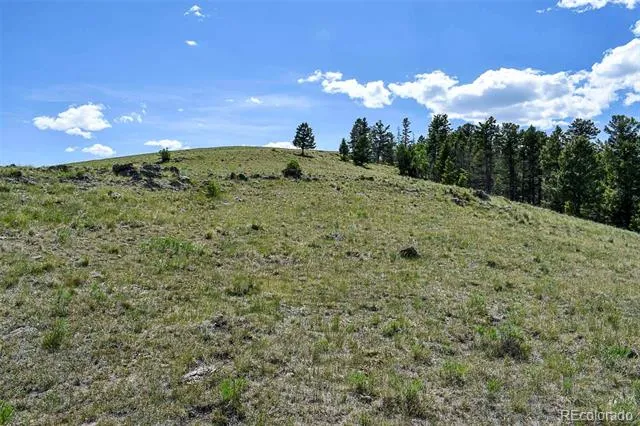 000 Bear Cat Road Guffey, CO 80820