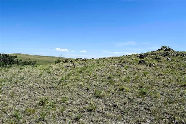 000 Bear Cat Road Guffey, CO 80820