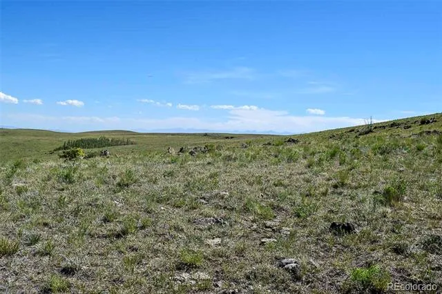 000 Bear Cat Road Guffey, CO 80820