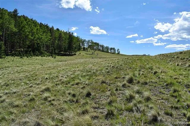 000 Bear Cat Road Guffey, CO 80820