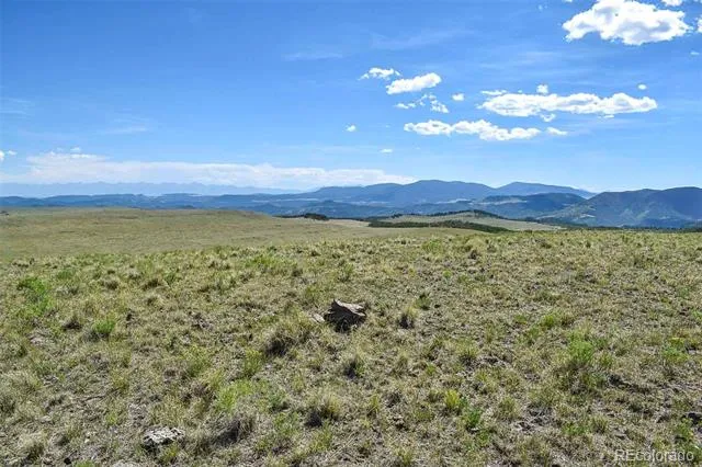 000 Bear Cat Road Guffey, CO 80820