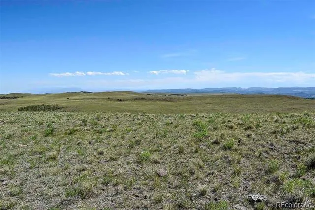 000 Bear Cat Road Guffey, CO 80820