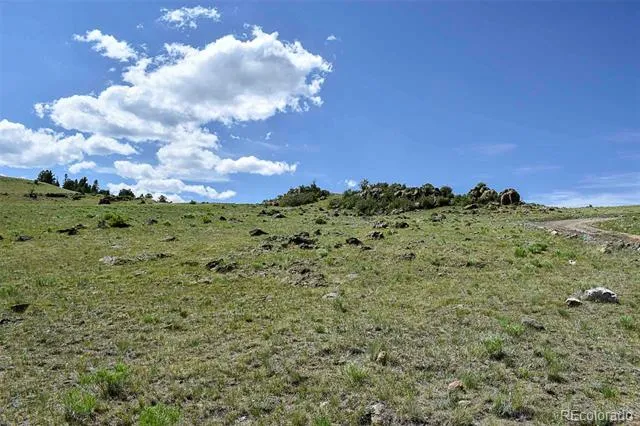 000 Bear Cat Road Guffey, CO 80820