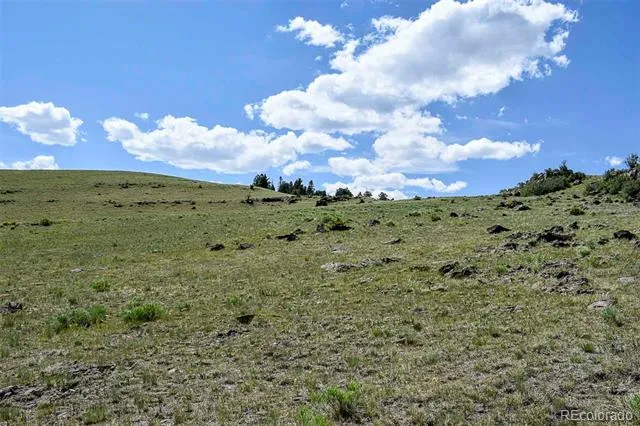 000 Bear Cat Road Guffey, CO 80820