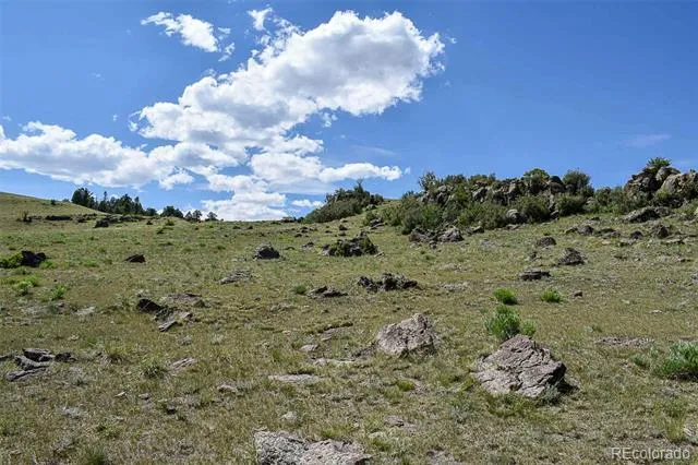 000 Bear Cat Road Guffey, CO 80820