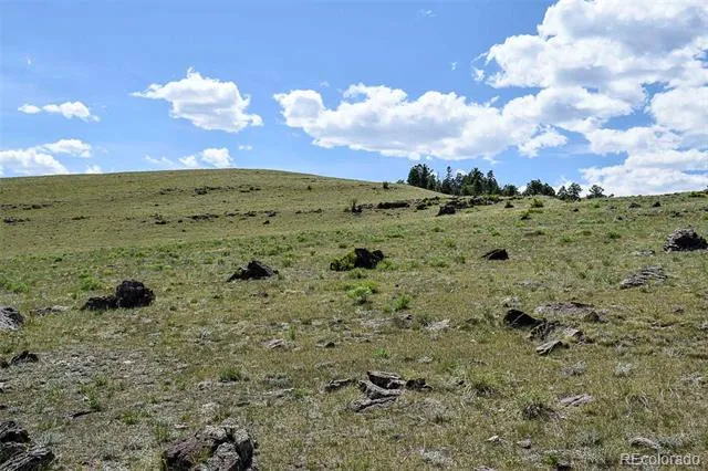 000 Bear Cat Road Guffey, CO 80820