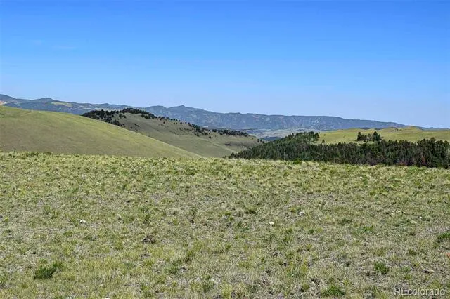 000 Bear Cat Road Guffey, CO 80820