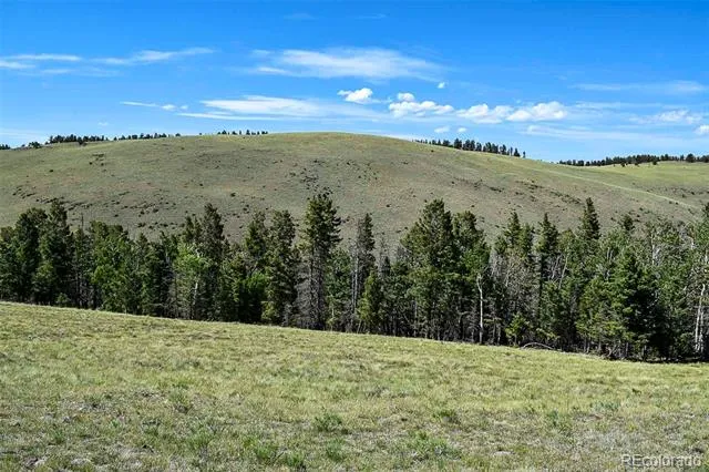 000 Bear Cat Road Guffey, CO 80820