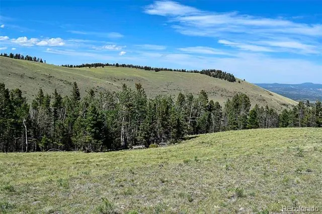 000 Bear Cat Road Guffey, CO 80820