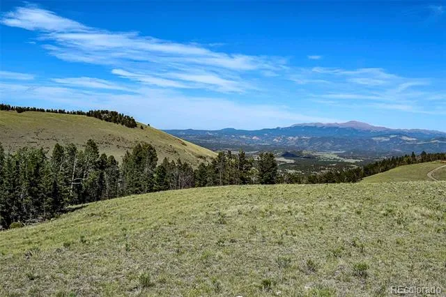 000 Bear Cat Road Guffey, CO 80820