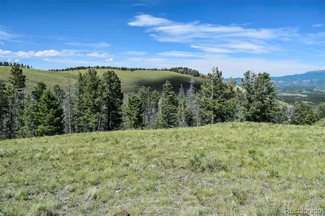 000 Bear Cat Road Guffey, CO 80820