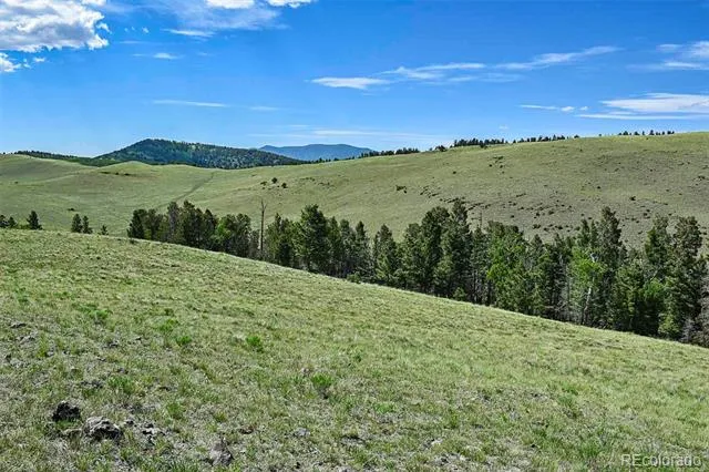 000 Bear Cat Road Guffey, CO 80820