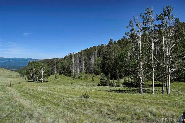 000 Bear Cat Road Guffey, CO 80820