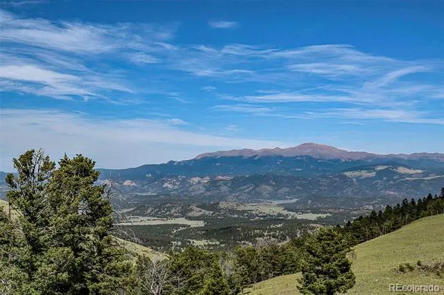 000 Bear Cat Road Guffey, CO 80820