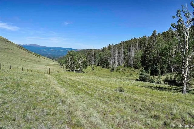 000 Bear Cat Road Guffey, CO 80820