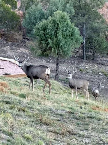 33001 Oak Way Trinidad, CO 81082