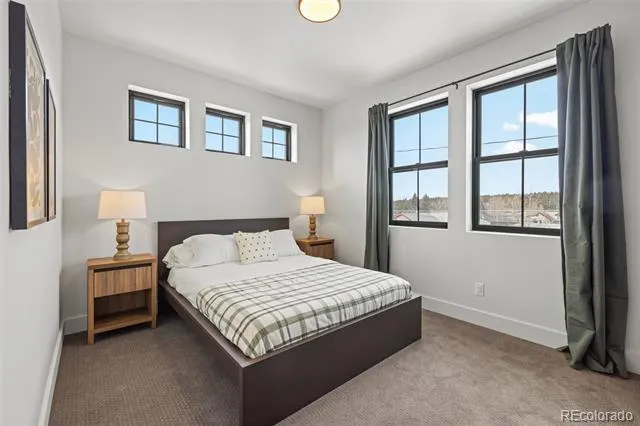 116 E 13th Street Leadville, CO 80461